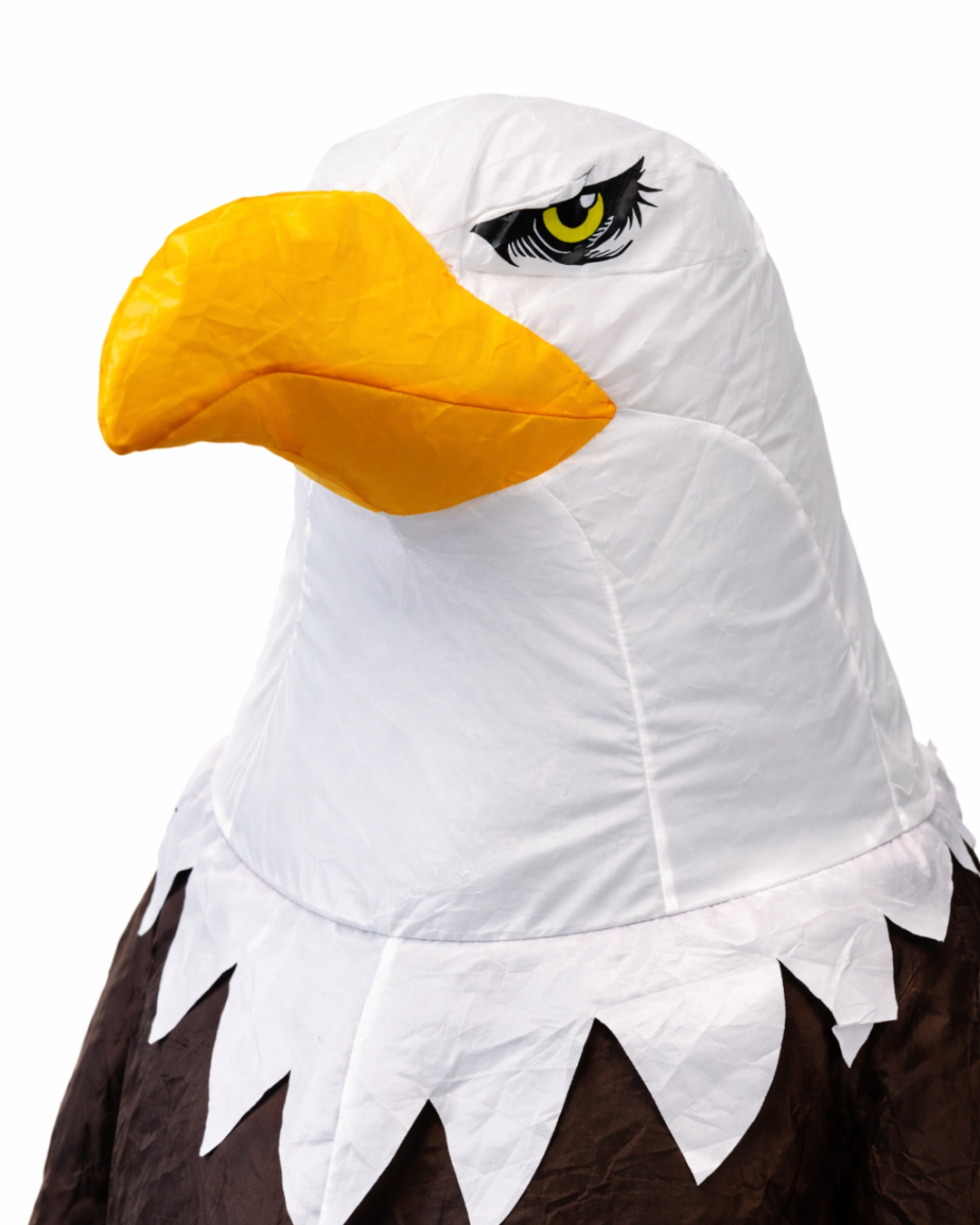 Eagle Team photo