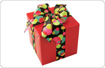 Fashion Ribbons
